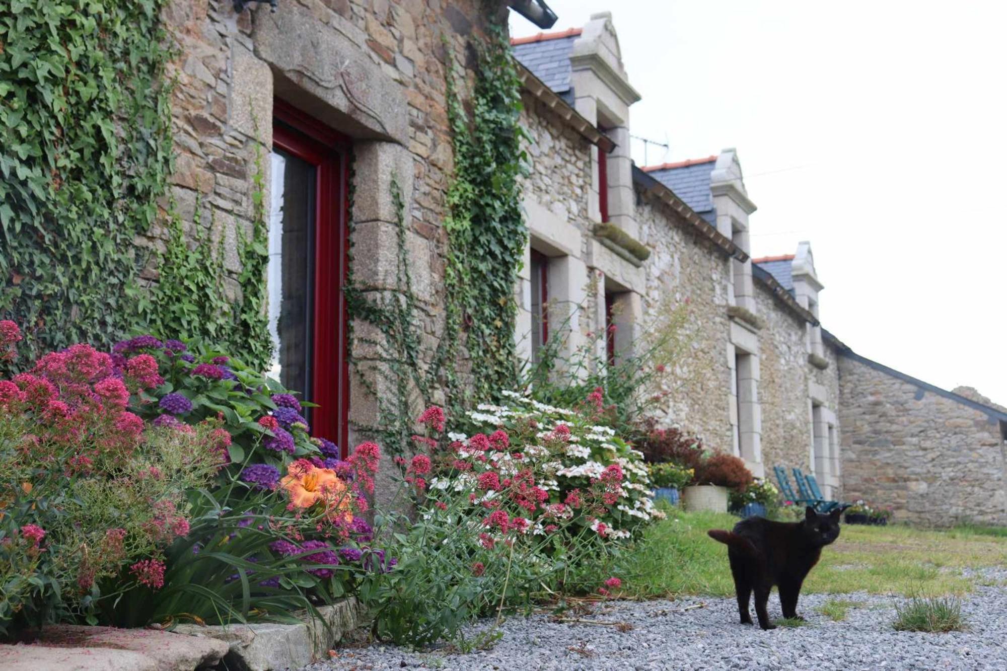 La Petite Berais Bed & Breakfast Missillac ภายนอก รูปภาพ